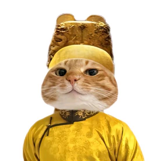 不是乌龟