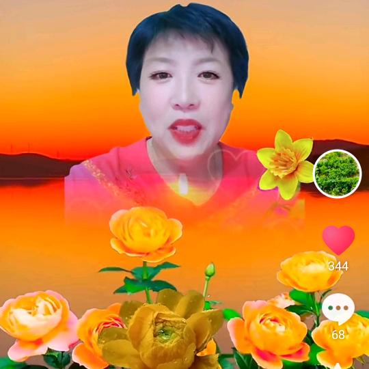 芝云