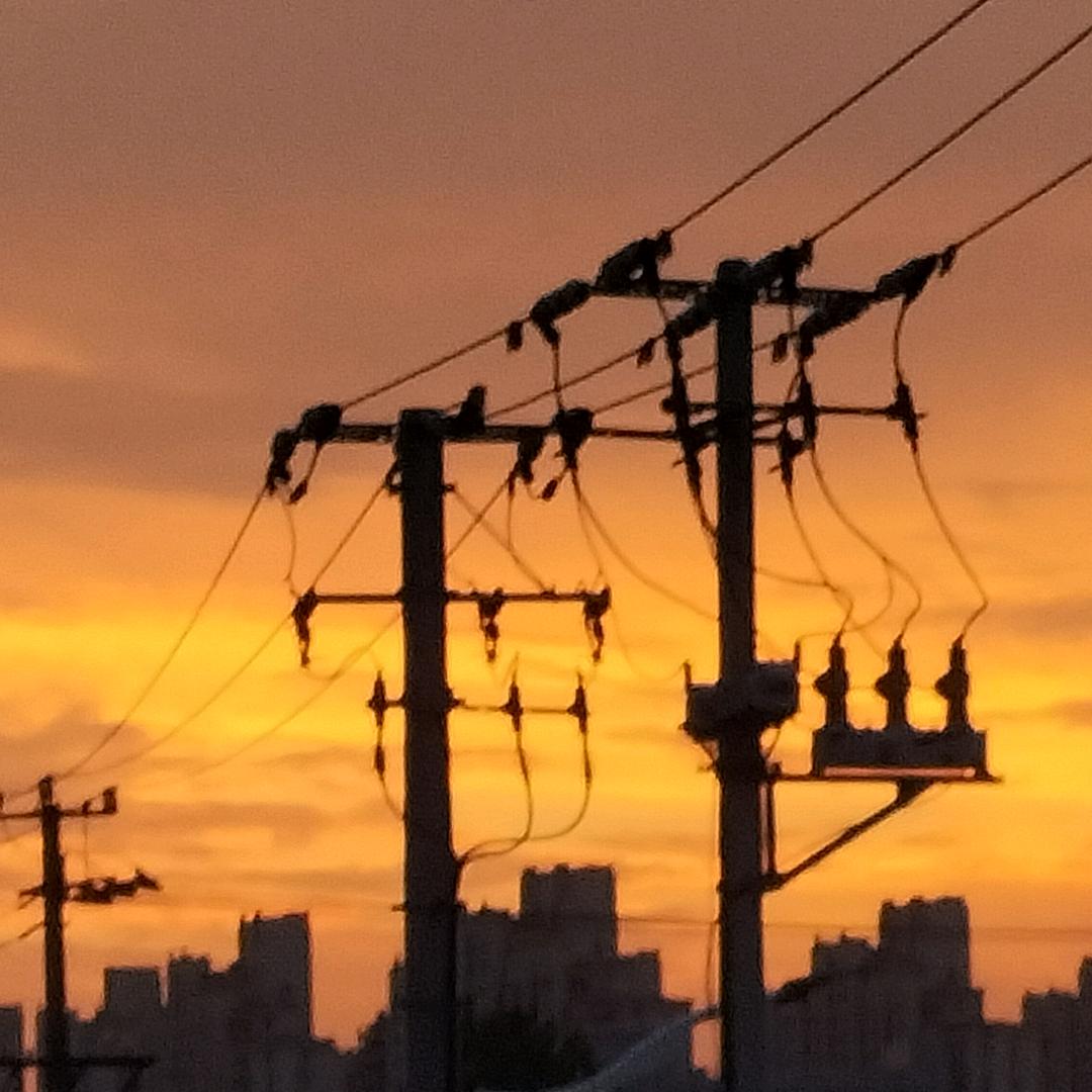 等风等雨也等你💰🐼