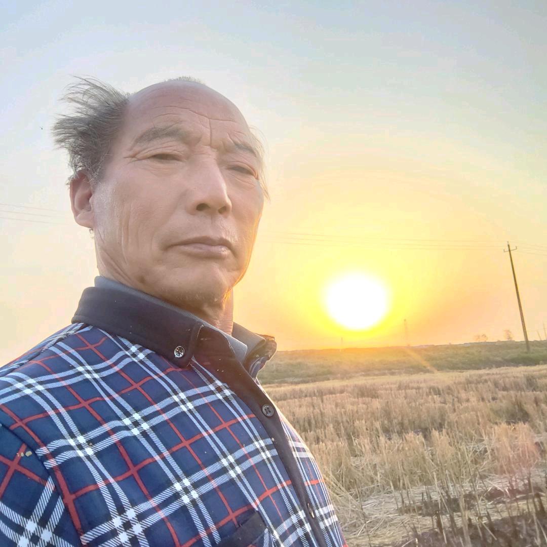 美好太阳