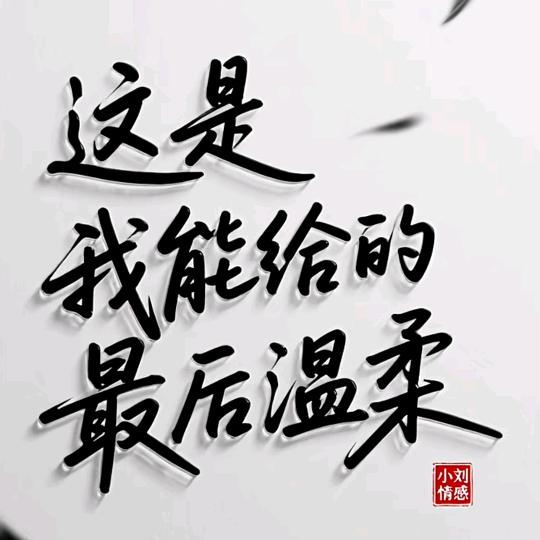 温柔的刺猬