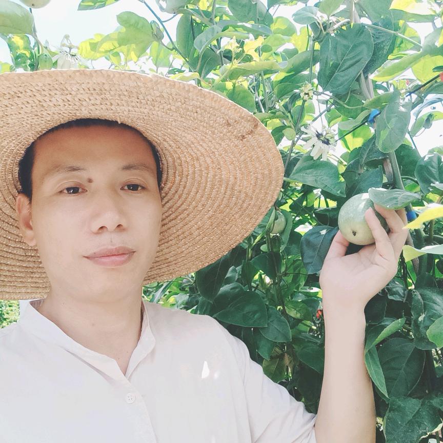 🔥钦正老章🔥百香果供应链🔥🔥🔥