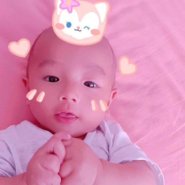 芯安