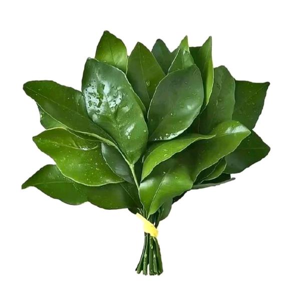 酸菜菜菜鱼