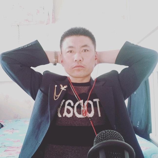 龙家二少爷
