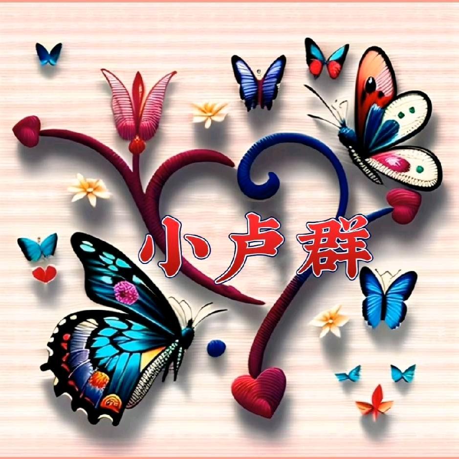 小卢群