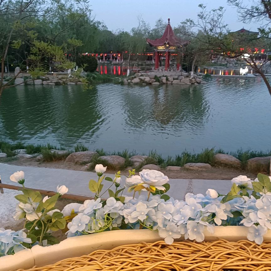 安月奶奶