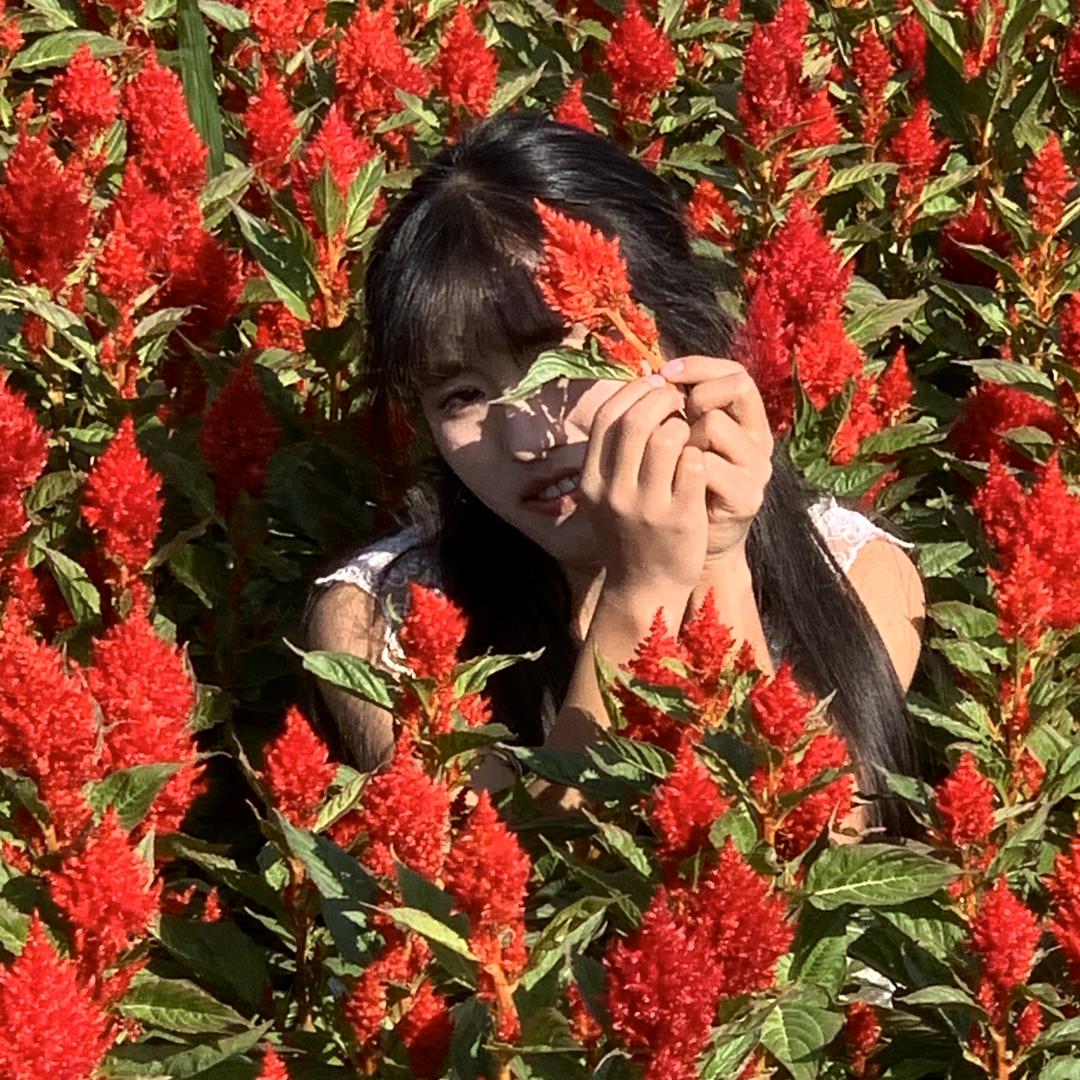 花海记时