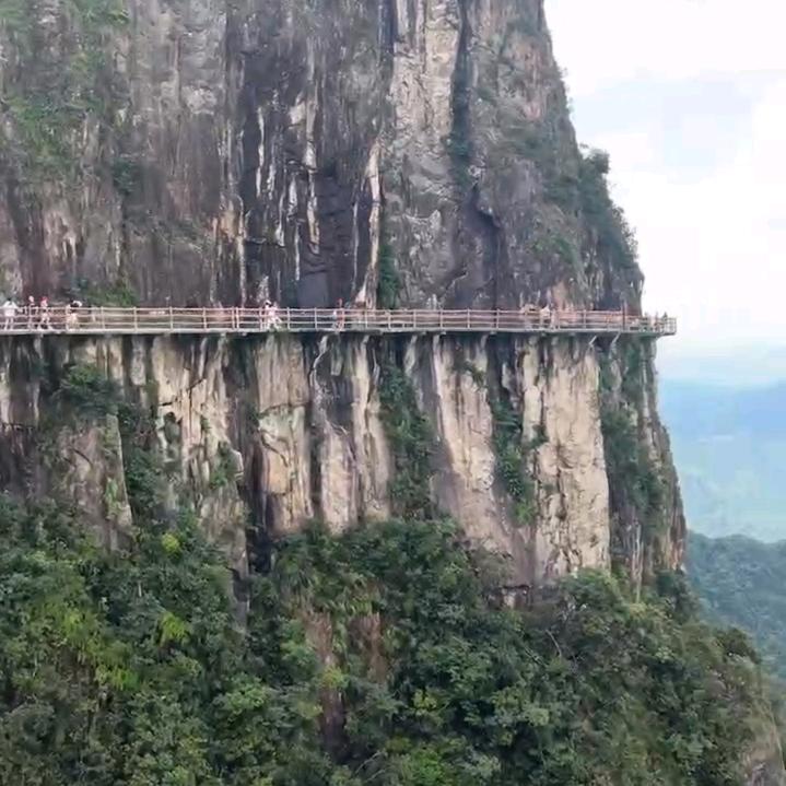 郑毅L2