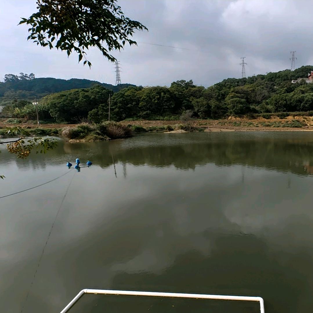 洞湖生态家庭农场