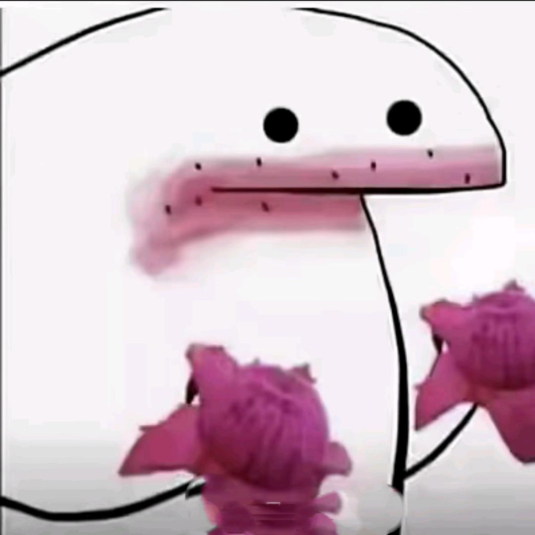 😝Zz😝