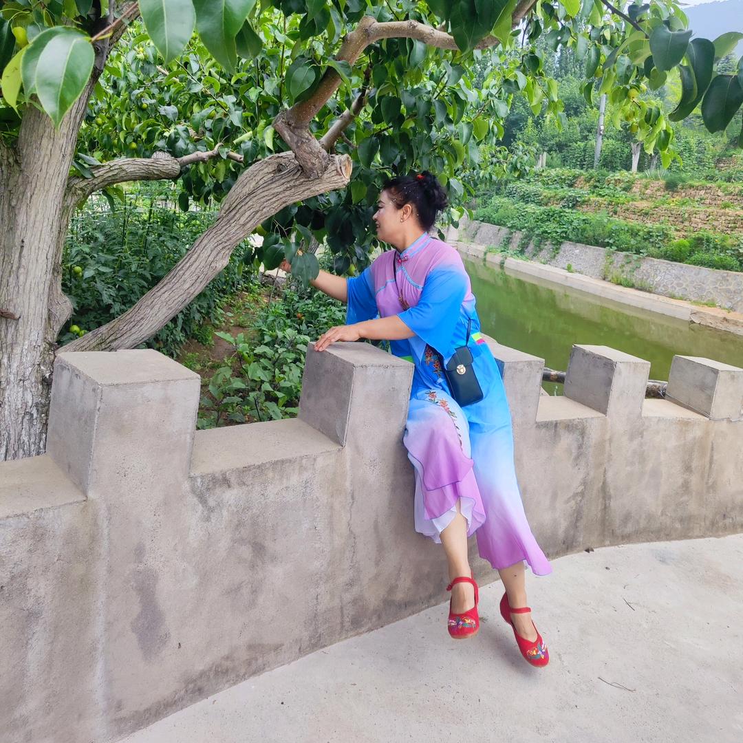 马村槐乡情鼓舞队(🌷随缘🌷)