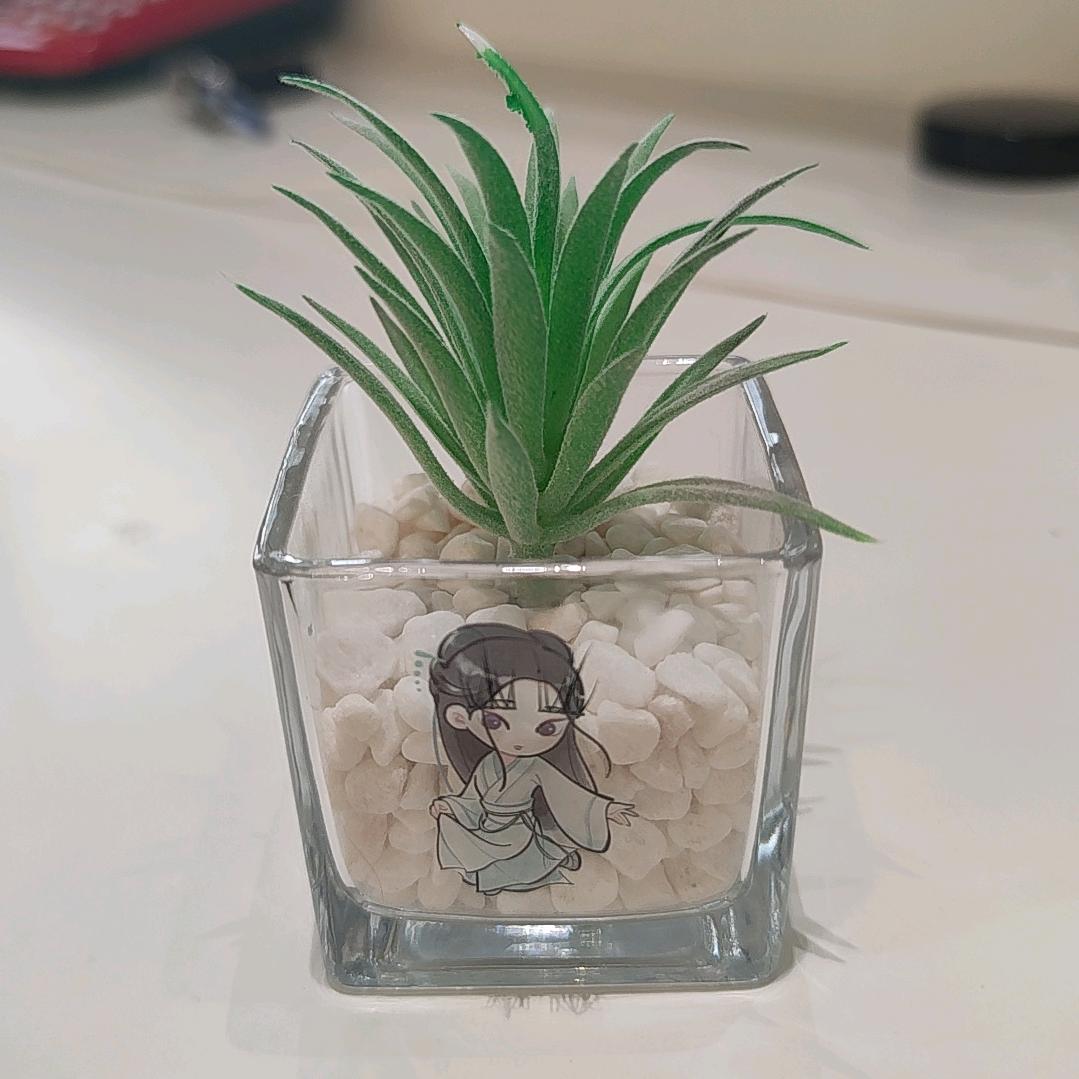 大漂亮