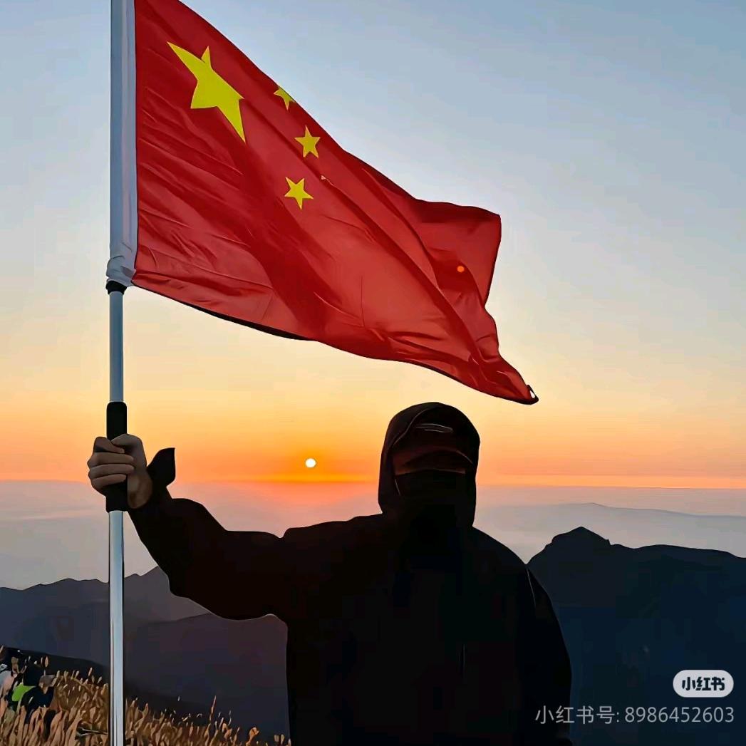 小杨同志