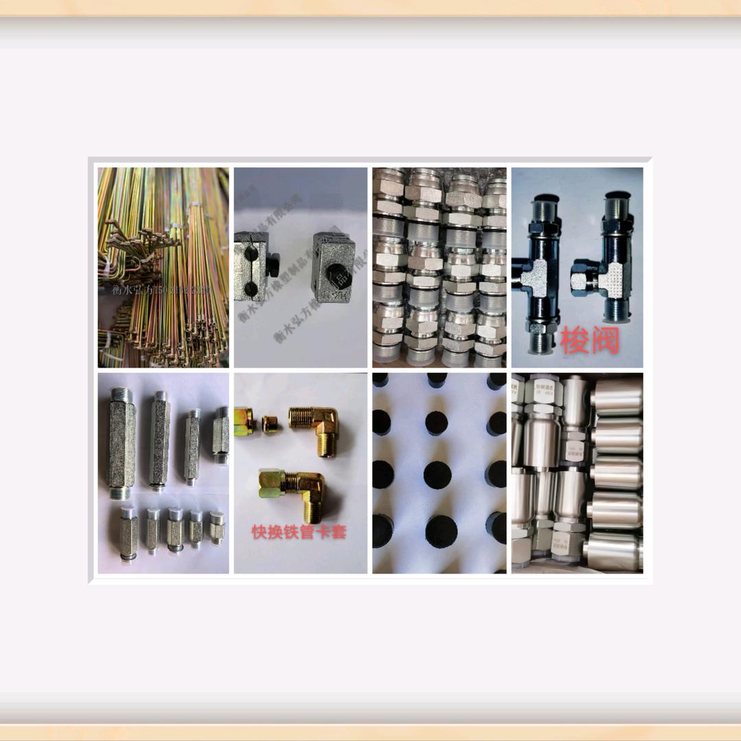 衡水弘方《张扬》