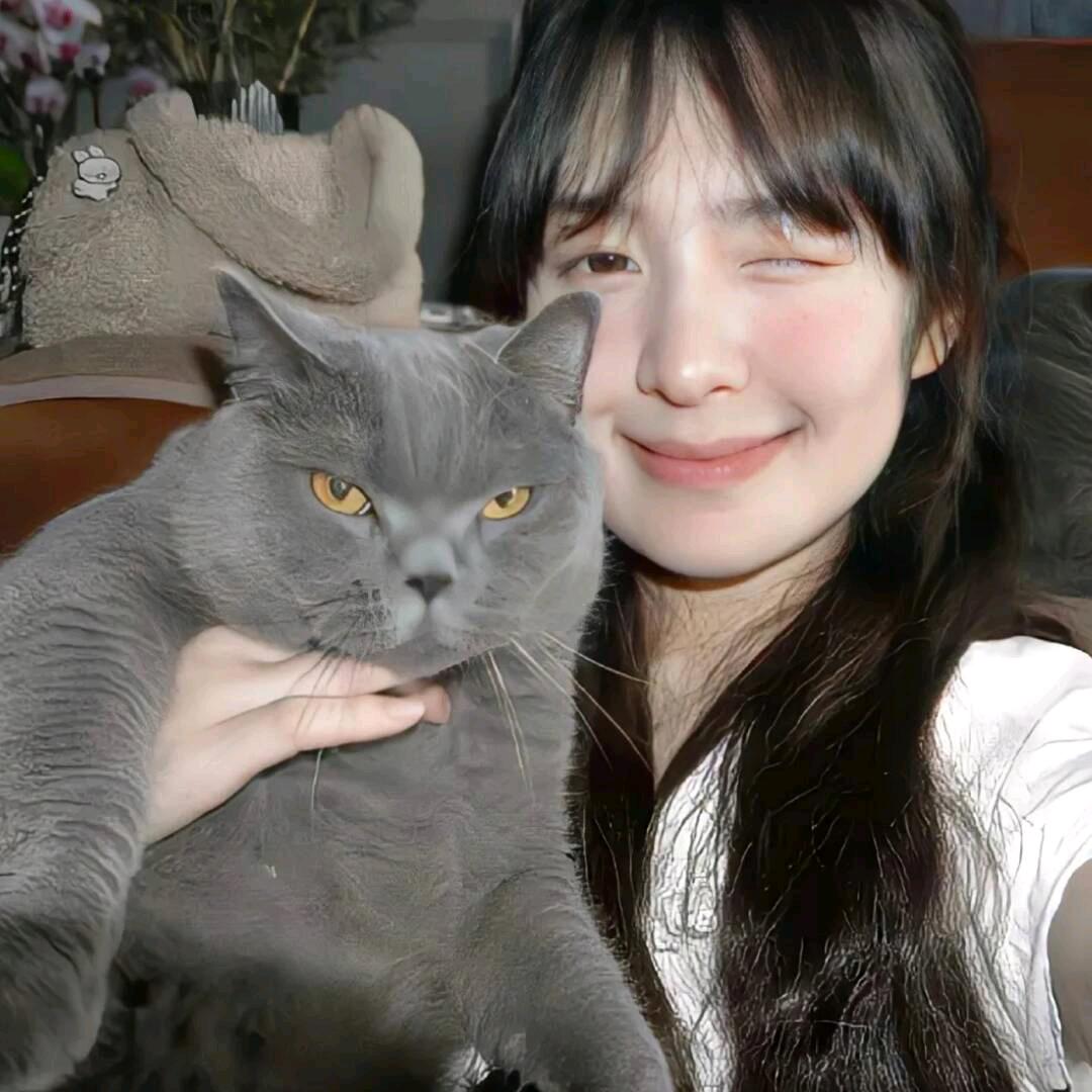 西蓝花不花🥦