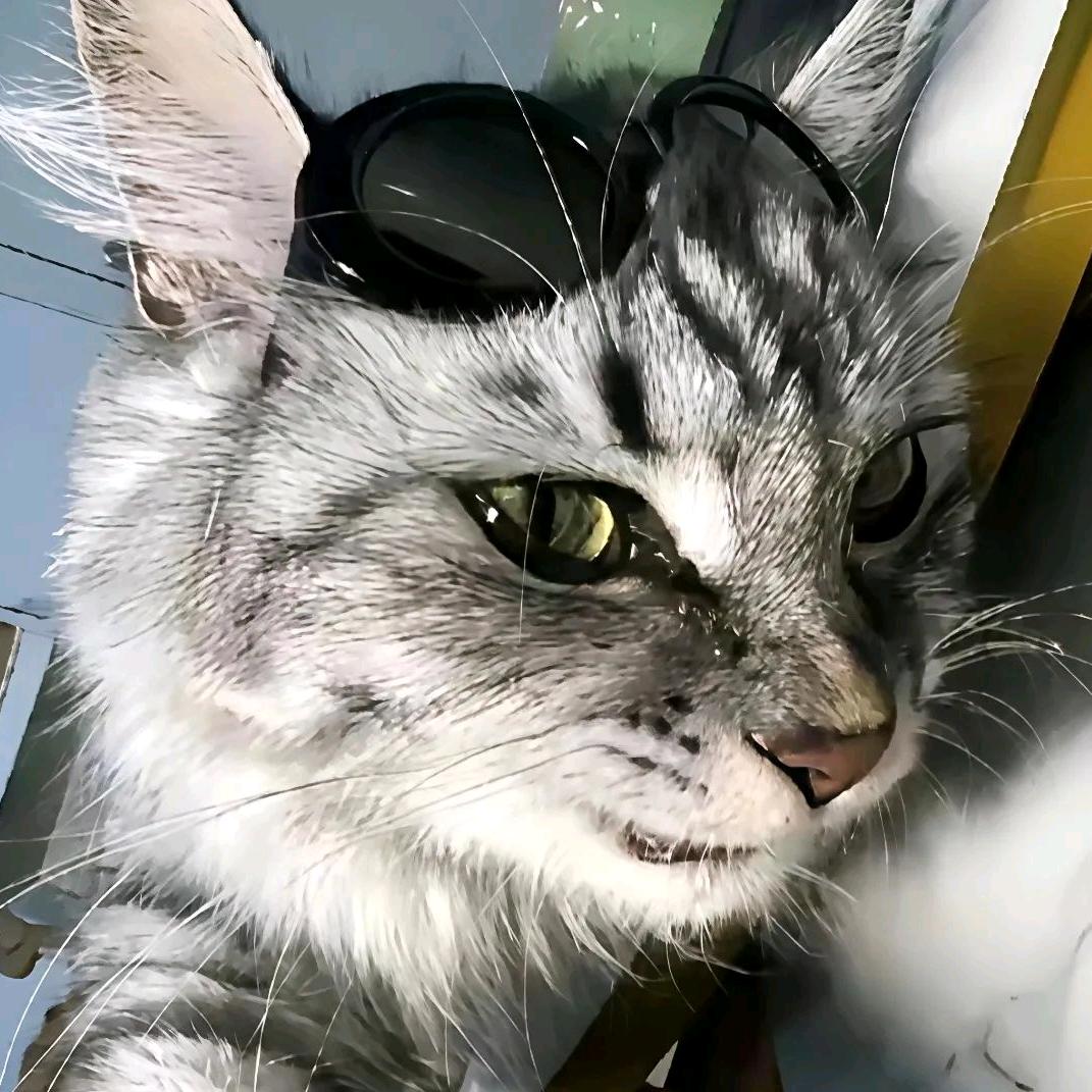 cY