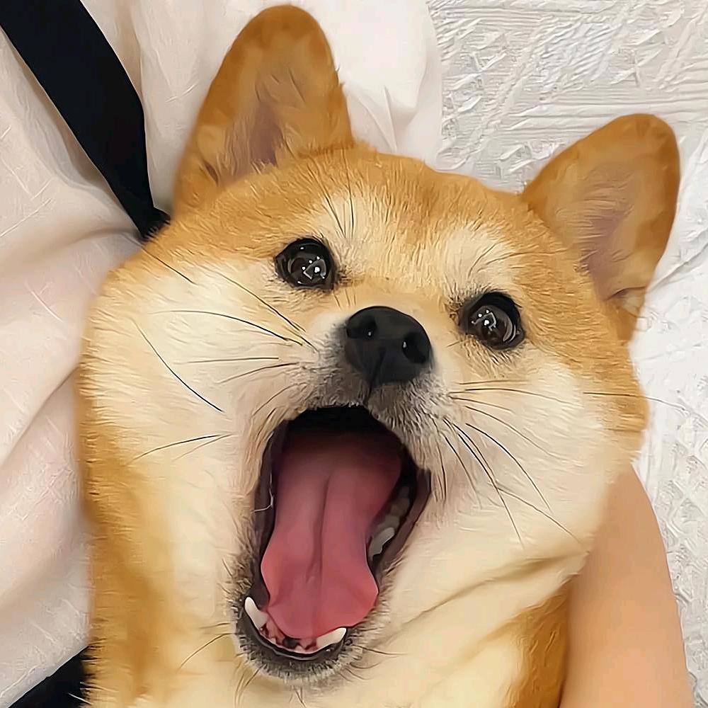 DNF富贵