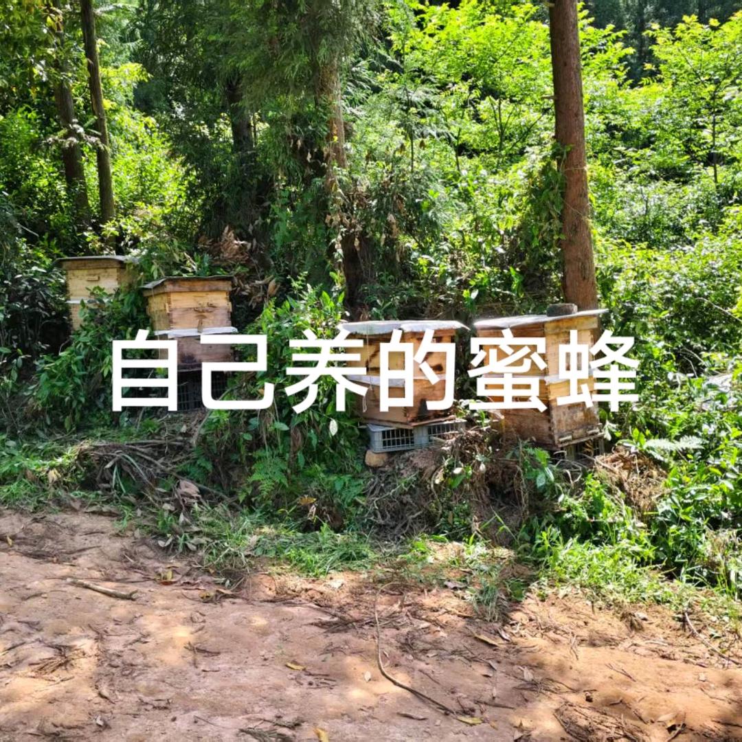 关关难过关关过