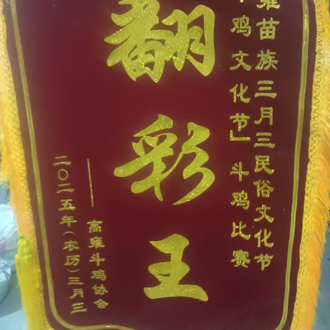 贵州鸡王