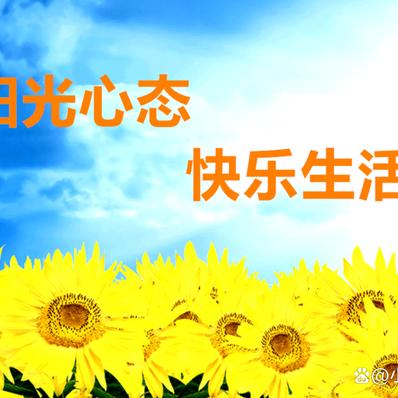 南政刮墙     双儿