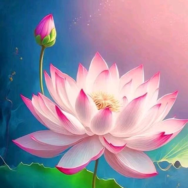 问题肌调理师～蔡老师