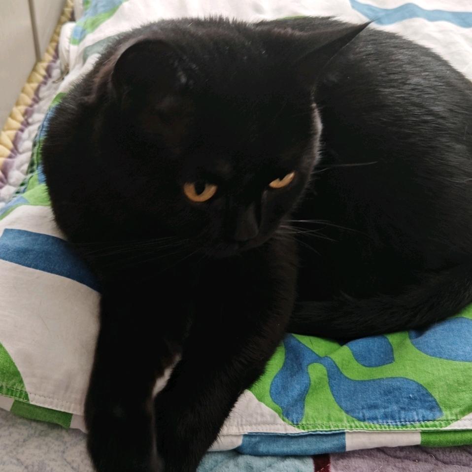 余额不足（缺钱版）