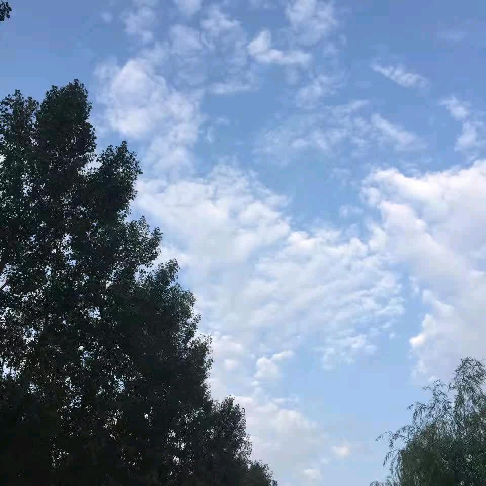 心痛无期的思念