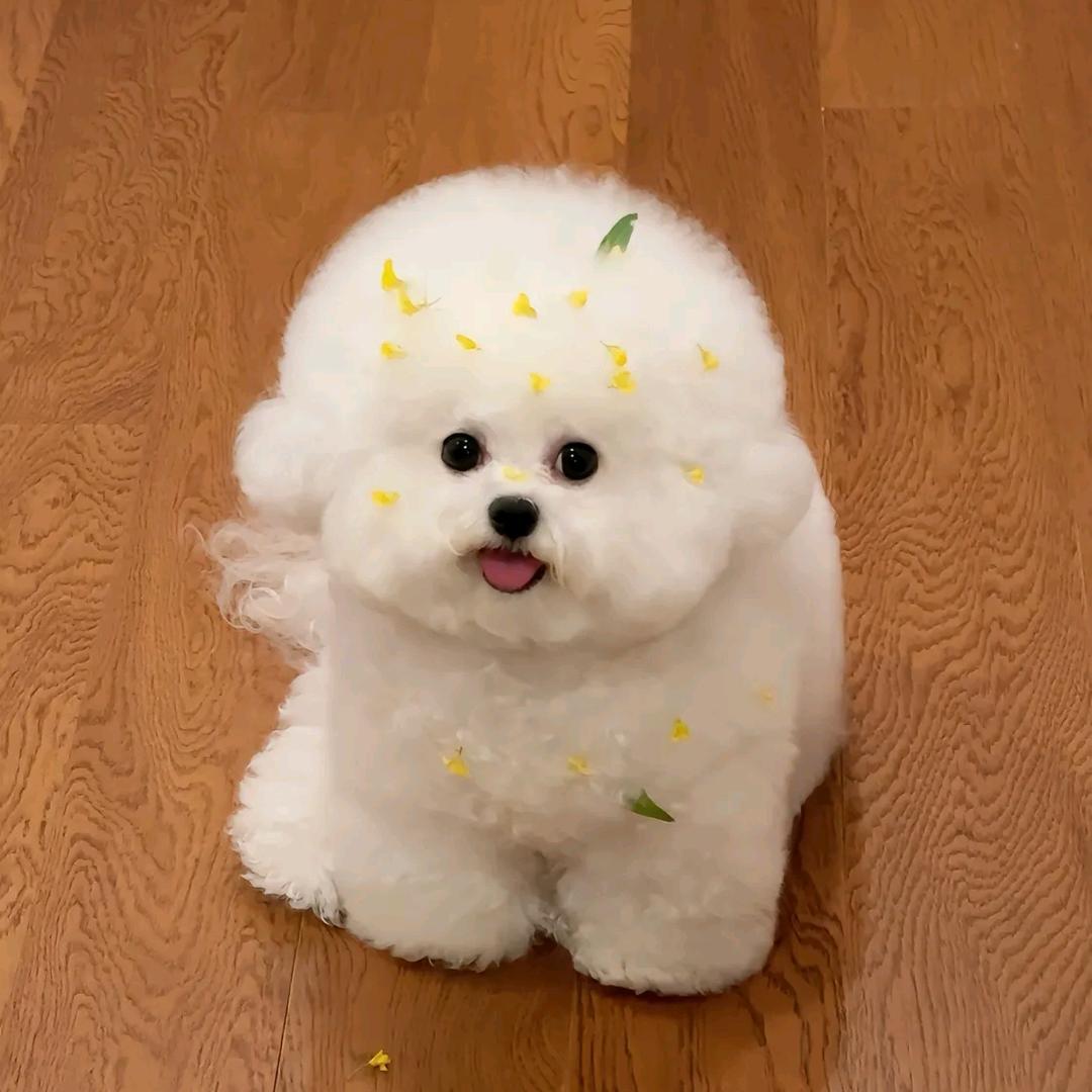 一二