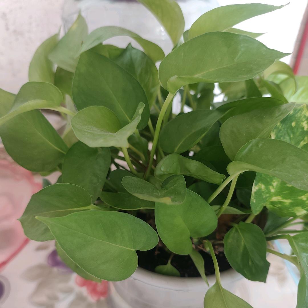 相信自己
