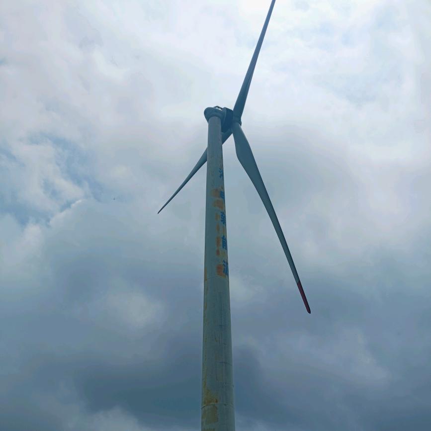 🐬(˵¯͒〰¯͒˵)🐬