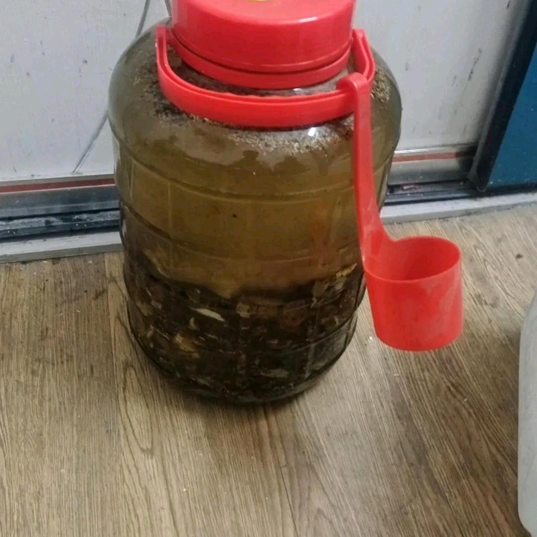 a广西容县灵山陆宥汛大傻嘿嘿