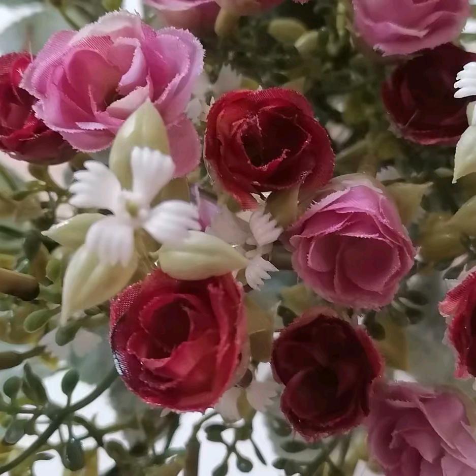 农村大姐，在学习