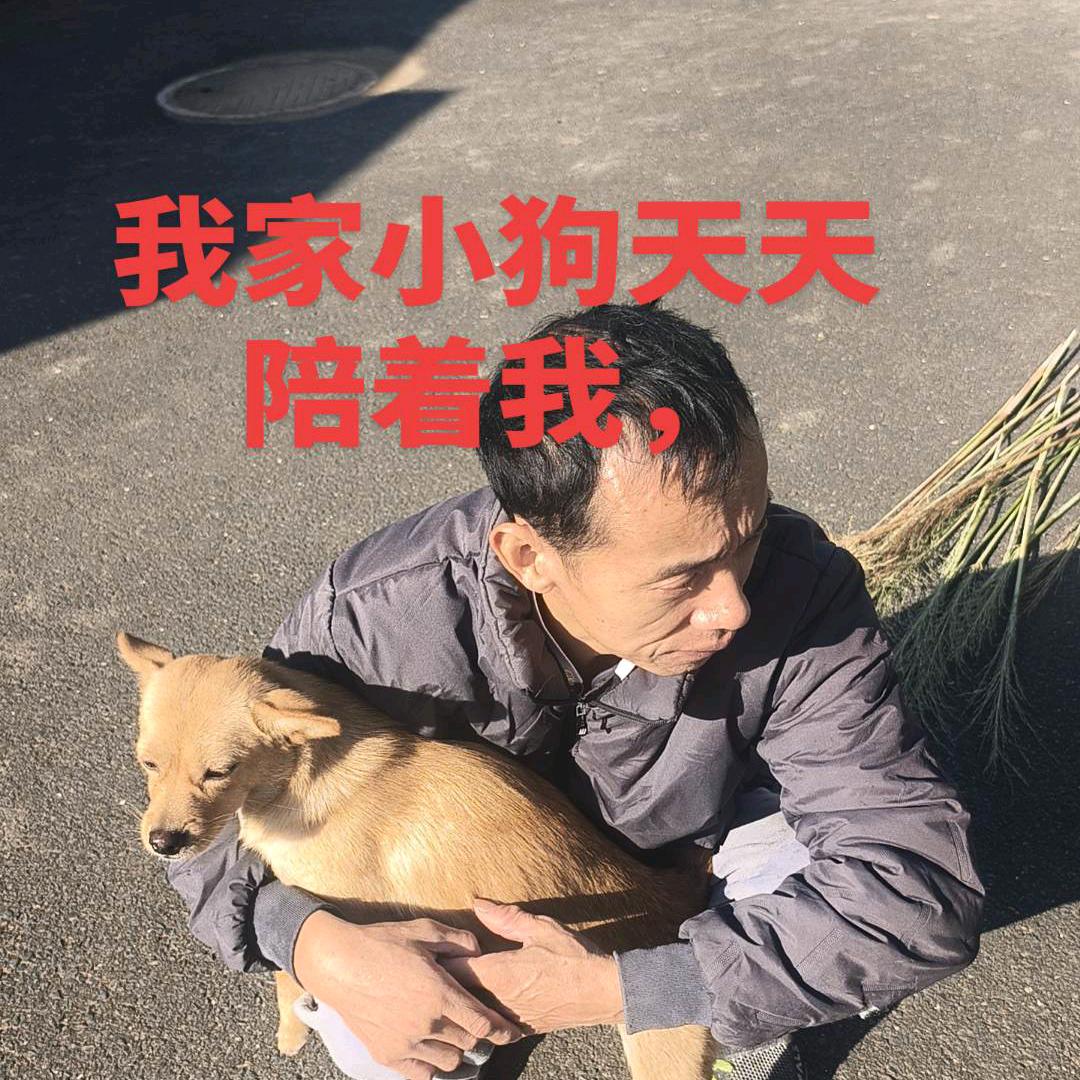 随风飘