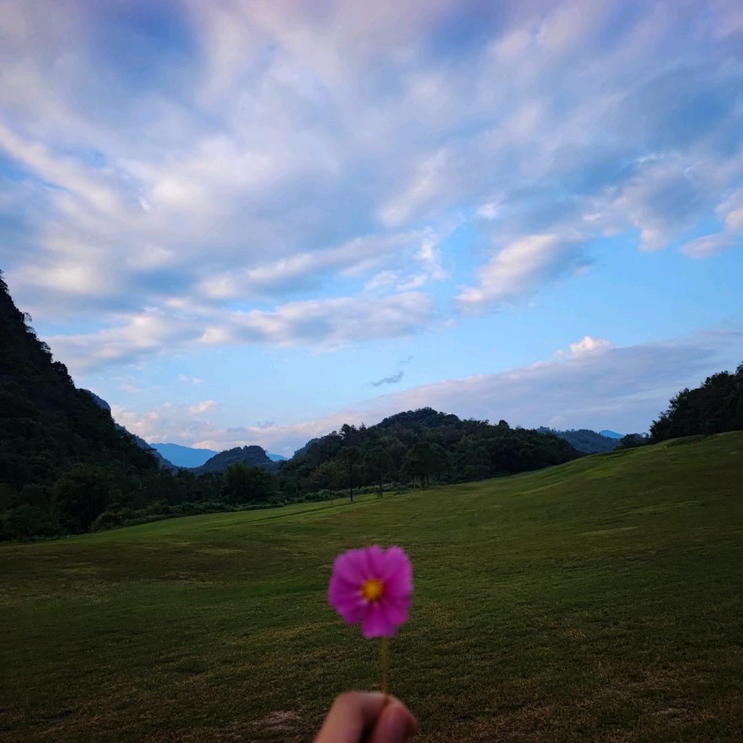 娜娜🌷