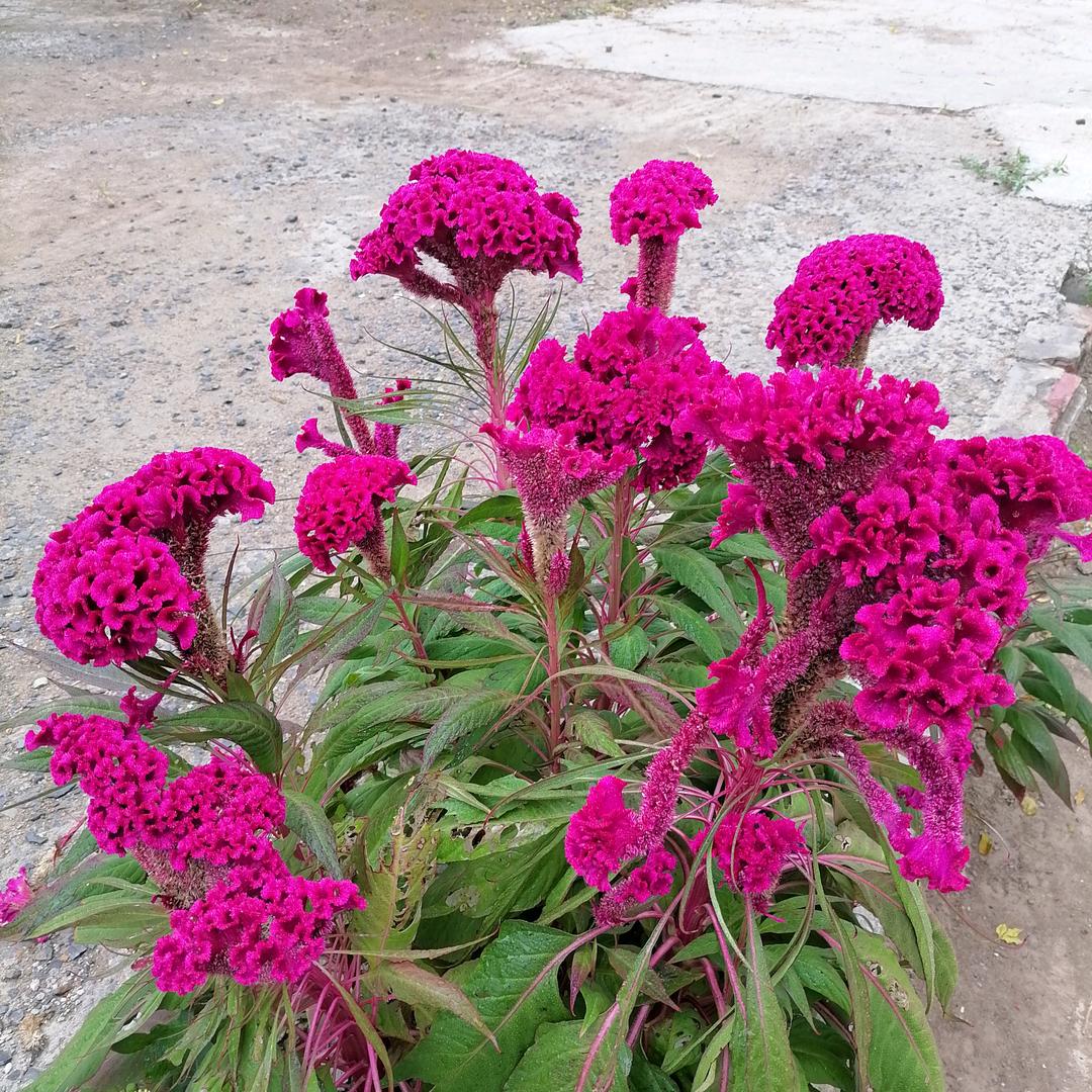 万水千山总是情，