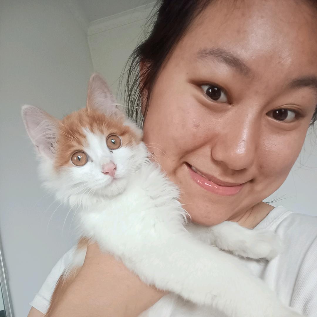 果冻˙Ꙫ˙