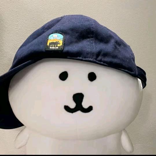 振翎鸟