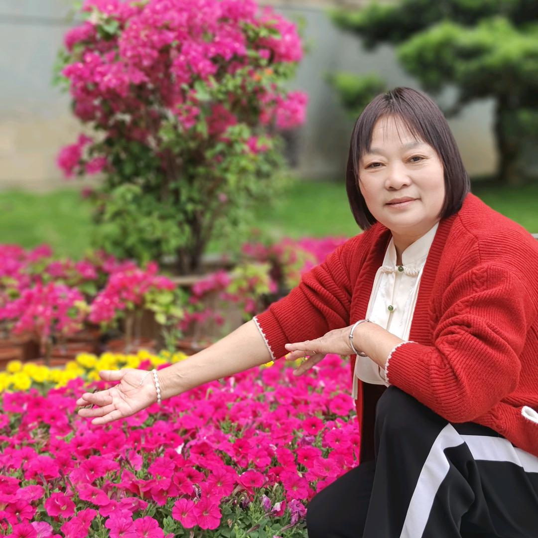 太阳红
