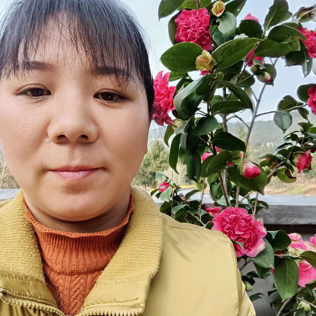 天天开心。