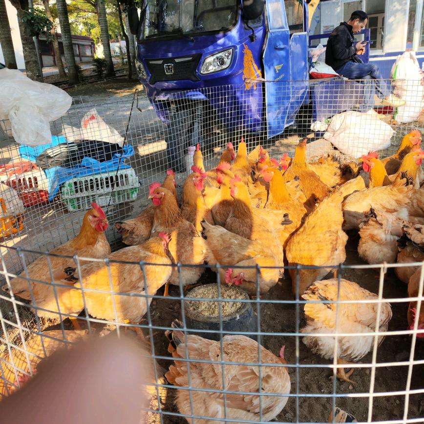 大家都是好朋友