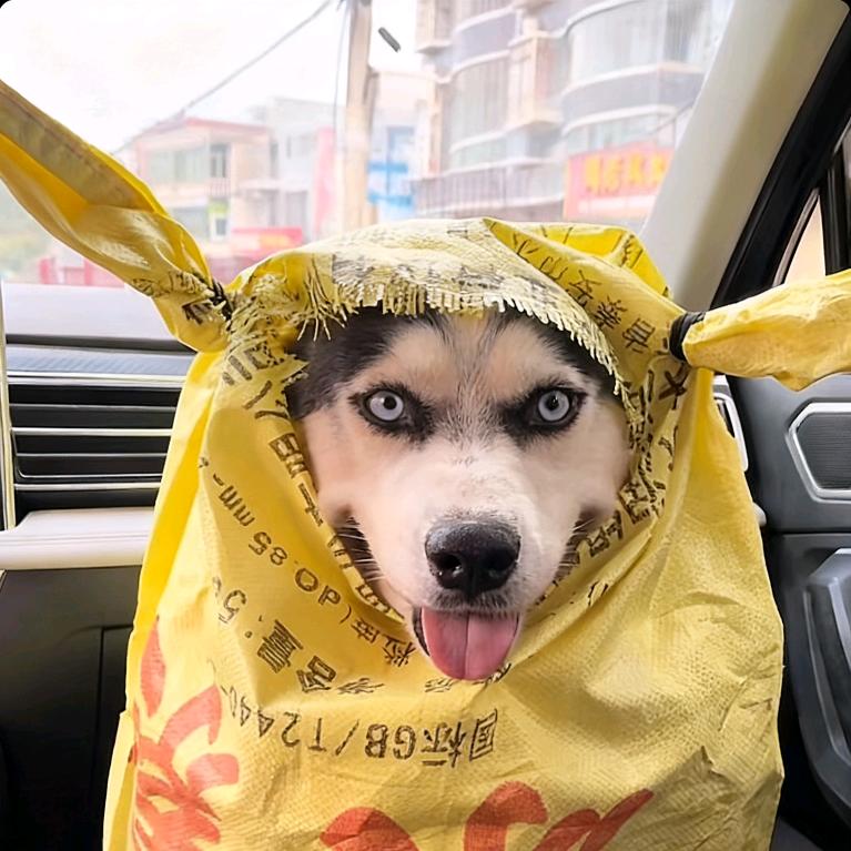 容我👀👀