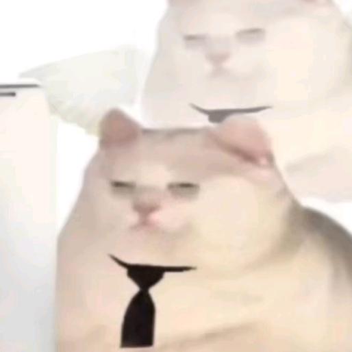 老弧了