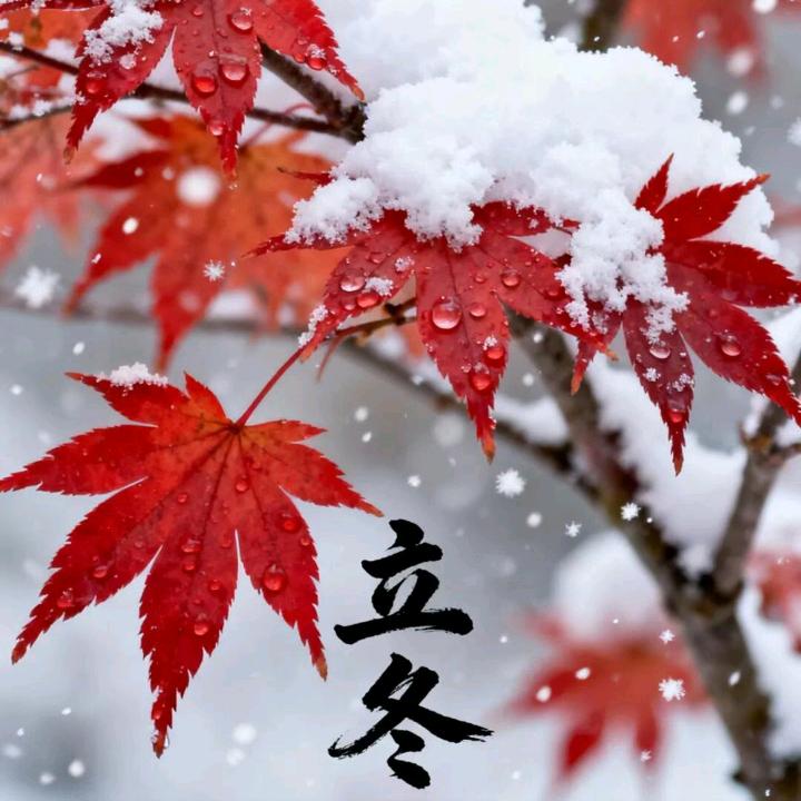正在输入等待中