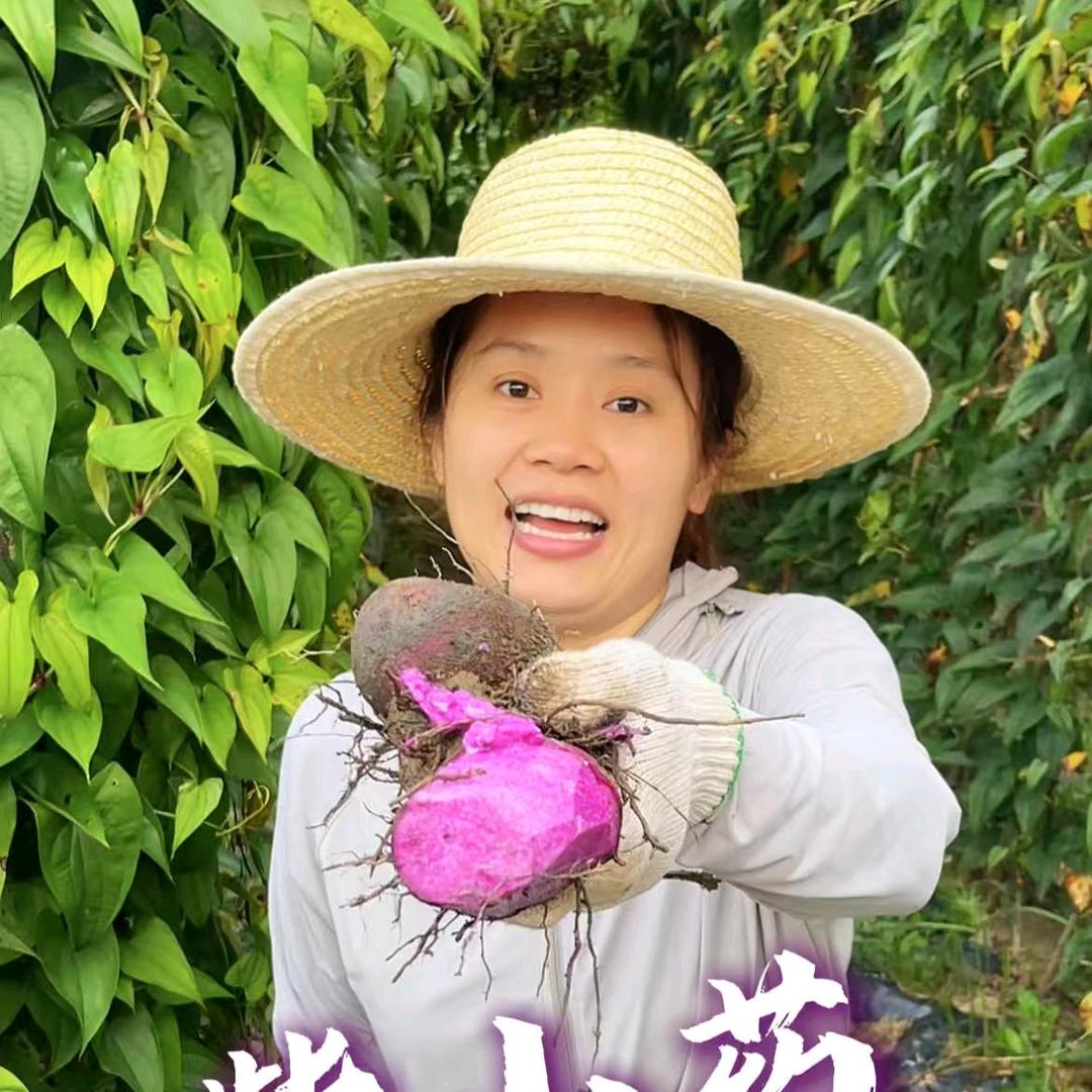 杨村鲜果蔬