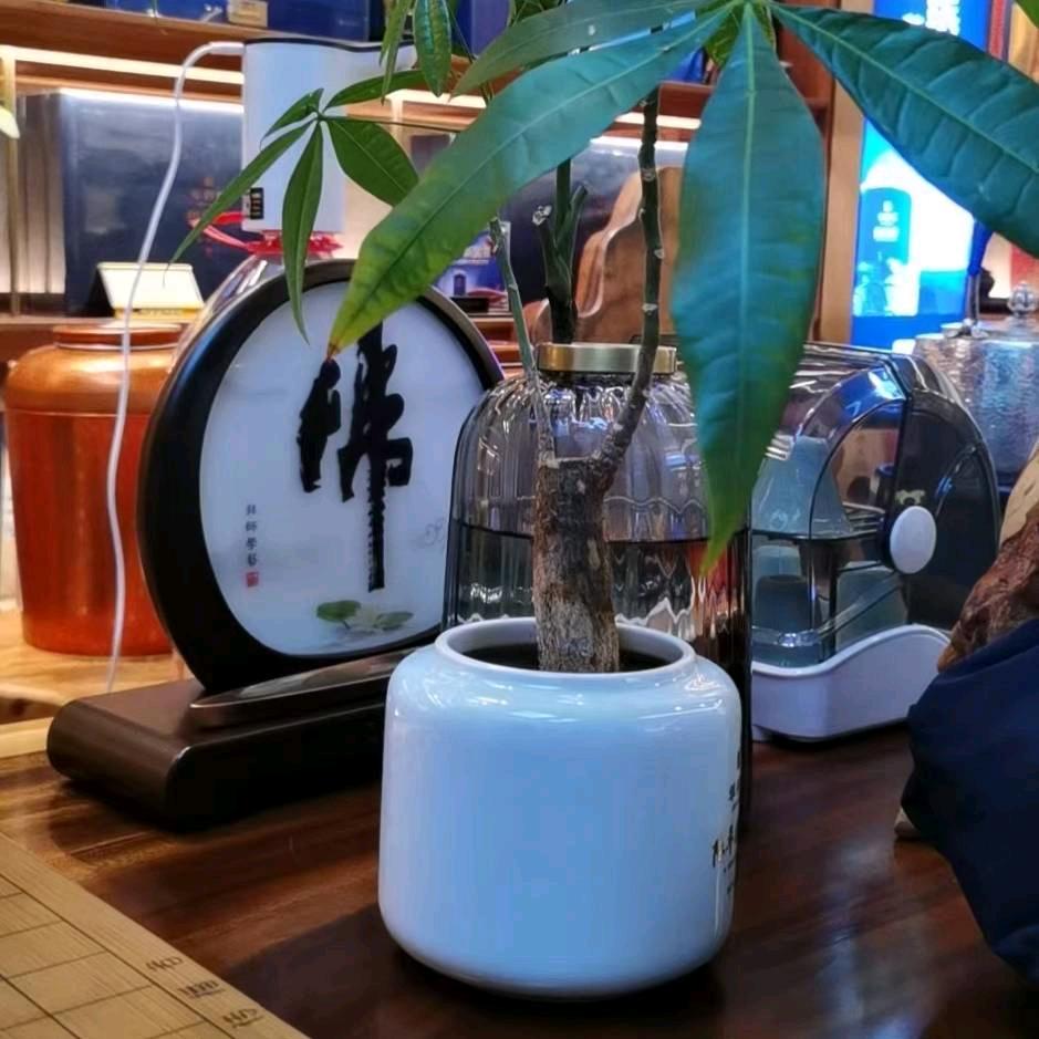 🌏遇见你之后🇨🇳