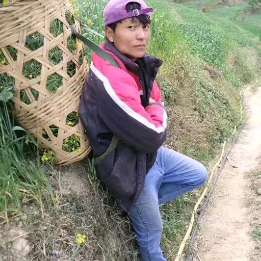 九块钱的爱