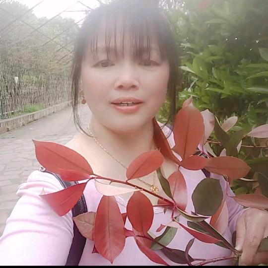 ♥阿花♥平淡是福😎
