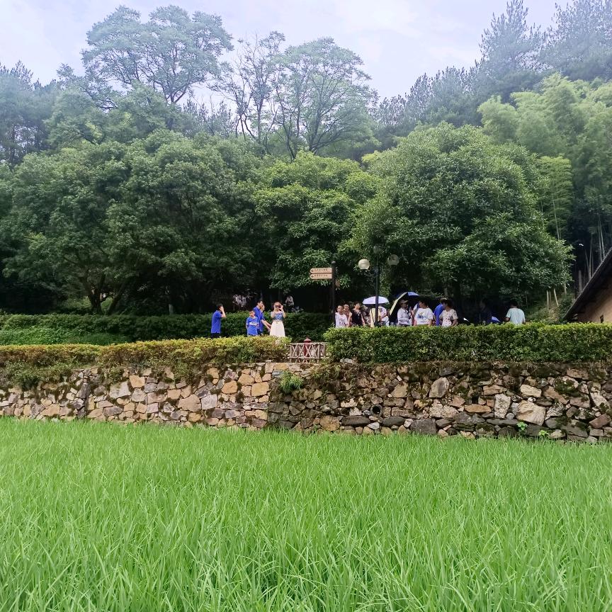 顺心装修工程设计