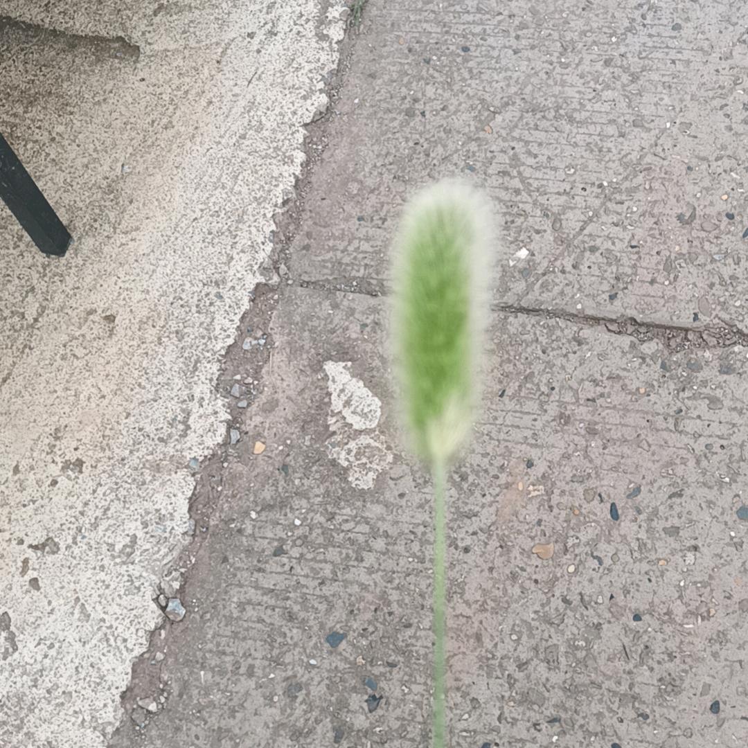 为了生活变得心思重重